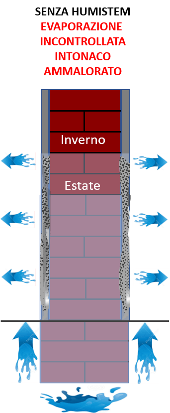 senza humistem